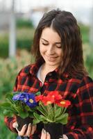 hermosa joven sonriente chica, trabajador con flores en invernadero. concepto trabajo en el invernadero, flores, tulipanes, caja con flores Copiar espacio. foto