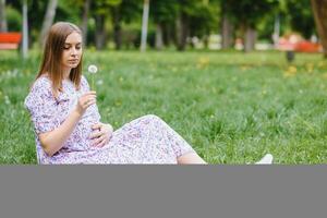 Beautiful pregnant woman relaxing in the park photo