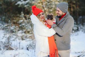 Winter picnic in the forest. Love story in snow. couple in winter play in snow and hugging near the pine. Two lovers on winter walk. Valentine's Day for couple in rustic style. Winter lovestory photo