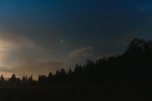 Forest against the background of the starry sky in the Carpathian mountains photo