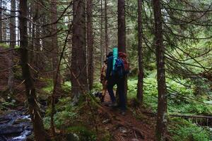 Hikers walking on forest trail with camping backpacks. outdoors trekking on mountain. photo