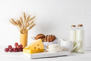 festive still life for the Jewish holiday of Shavuot. Several types of cheese, bottled milk, grapes. A white vase with ears of corn. Front view photo