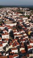 verticaal video stad van nazaré in Portugal antenne visie