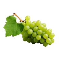 AI generated A bunch of green grape with leaves png isolated on transparent background