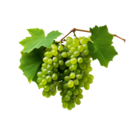 AI generated A bunch of green grape with leaves png isolated on transparent background