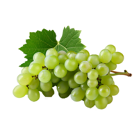 AI generated A bunch of green grape with leaves png isolated on transparent background