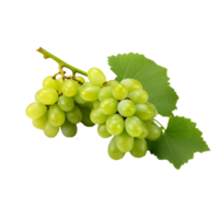 AI generated A bunch of green grape with leaves png isolated on transparent background