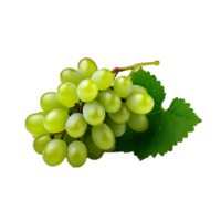 AI generated A bunch of green grape with leaves png isolated on transparent background