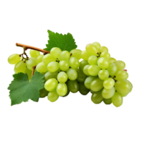 AI generated A bunch of green grape with leaves png isolated on transparent background