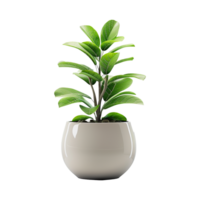 AI generated Plant pot flower isolated on transparent background png