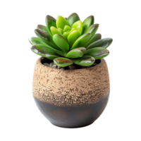 AI generated Plant pot flower isolated on transparent background png