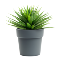 ai généré plante pot fleur isolé sur transparent Contexte png