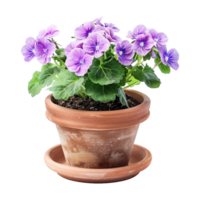 ai généré plante pot fleur isolé sur transparent Contexte png