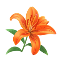 AI generated Orange lily flower isolated on transparent background png