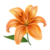 AI generated Orange lily flower isolated on transparent background png