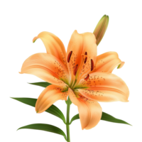 ai généré Orange lis fleur isolé sur transparent Contexte png