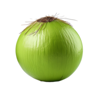 ai gegenereerd groen kokosnoot PNG geïsoleerd Aan transparant achtergrond