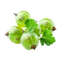 AI generated Green gooseberries isolated on transparent background png