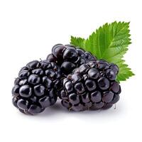 AI generated Blackberry fruit isolated on white background with shadow. Blackberries isolated. Blackberry top view. Blackberries flat lay photo