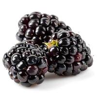 AI generated Blackberry fruit isolated on white background with shadow. Blackberries isolated. Blackberry top view. Blackberries flat lay photo