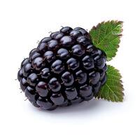 AI generated Blackberry fruit isolated on white background with shadow. Blackberries isolated. Blackberry top view. Blackberries flat lay photo