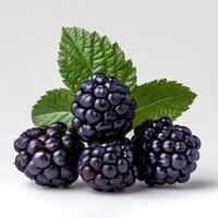 AI generated Blackberry fruit isolated on white background with shadow. Blackberries isolated. Blackberry top view. Blackberries flat lay photo