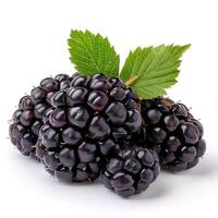 AI generated Blackberry fruit isolated on white background with shadow. Blackberries isolated. Blackberry top view. Blackberries flat lay photo