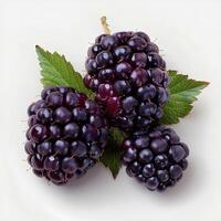 ai generado Mora Fruta aislado en blanco antecedentes con sombra. moras aislado. Mora parte superior vista. moras plano laico foto