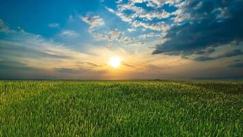 el pintoresco puesta de sol encima verde campo hora lapso vídeo video