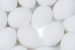 Close up of many white eggs background. Raw eggs on a white backlit platform photo