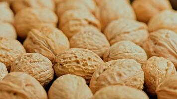 looped spinning walnuts with shells close-up full frame background video