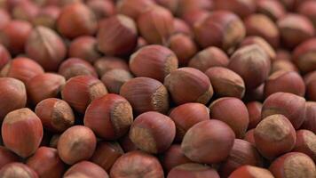 looped spinning hazelnuts with the shell close-up full frame background video