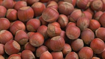 looped spinning hazelnuts with the shell close-up full frame background video