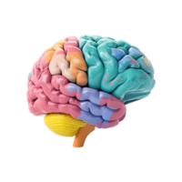 AI generated Colorful brain isolated on transparent background png