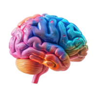 AI generated Colorful brain isolated on transparent background png