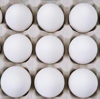 White raw chicken eggs in a tray top view. Fresh chicken eggs background photo