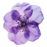AI generated Purple flower isolated on transparent background png