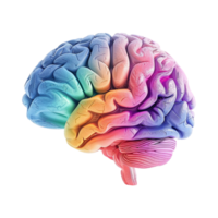 AI generated Colorful brain isolated on transparent background png