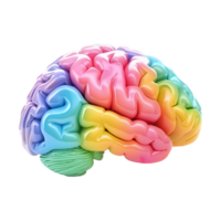 AI generated Colorful brain isolated on transparent background png