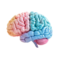 AI generated Colorful brain isolated on transparent background png