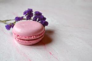 Colorful macaroons on the pink textured table. Tasty background. Sweet beautiful cakes. photo