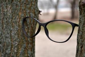 Eyeglass frame between trees. Eyesight. photo