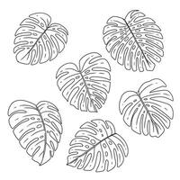 Monstera leaf collection, simple line drawing, doodle style vector