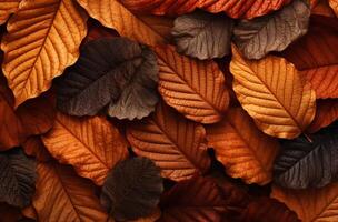 AI generated autumn leaves background photo