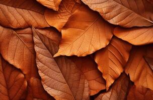 AI generated autumn leaves background photo