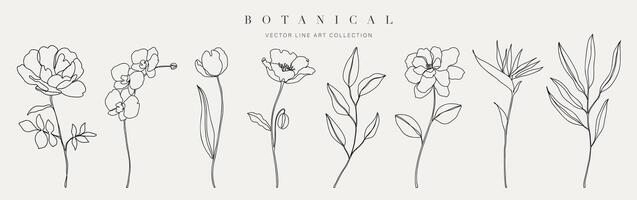 conjunto botánico mano dibujado elemento vector. colección de follaje, rama, floral, hojas, flor silvestre en uno línea Arte. mínimo estilo florecer ilustración diseño para logo, boda, invitación, decoración. vector