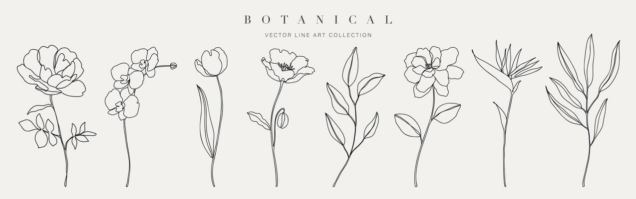 Set botanical hand drawn element vector. Collection of foliage, branch, floral, leaves, wildflower in one line art. Minimal style blossom illustration design for logo, wedding, invitation, decor.