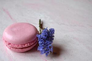 Colorful macaroons on the pink textured table. Tasty background. Sweet beautiful cakes. photo