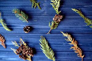 Evergreen pattern. Floral backgrounFlat lay of fir tree branches on the dark blue wooden table. photo