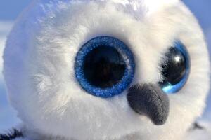 Cute owl toy on the snow outdoor. photo